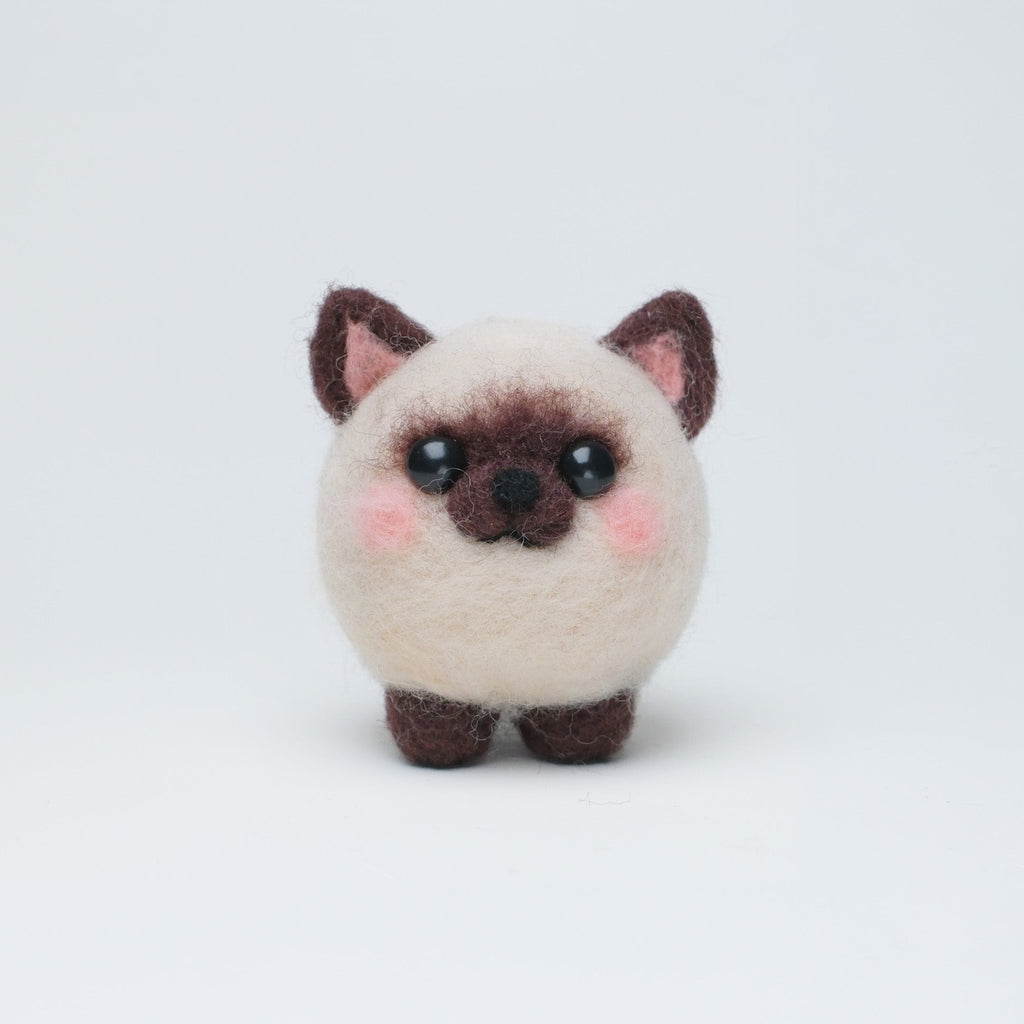 Mochi the Siamese Cat