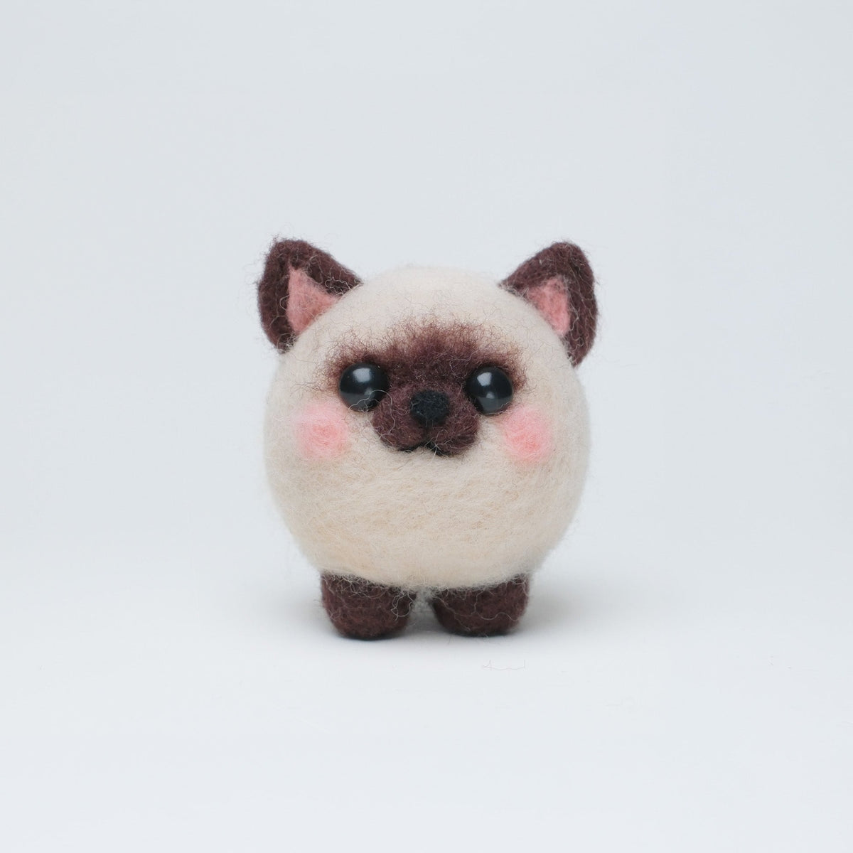 Mochi the Siamese Cat