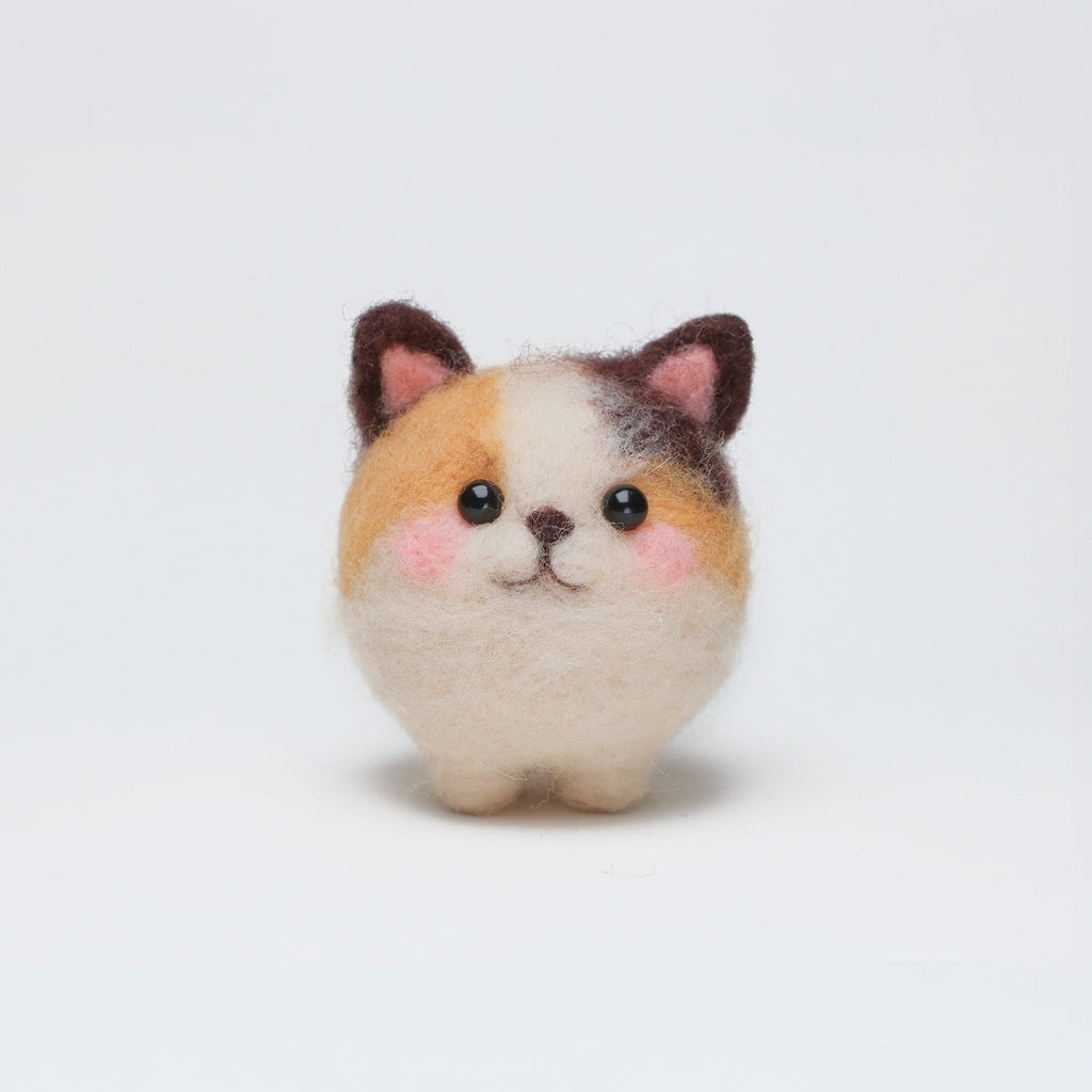 Taffy the Calico Cat