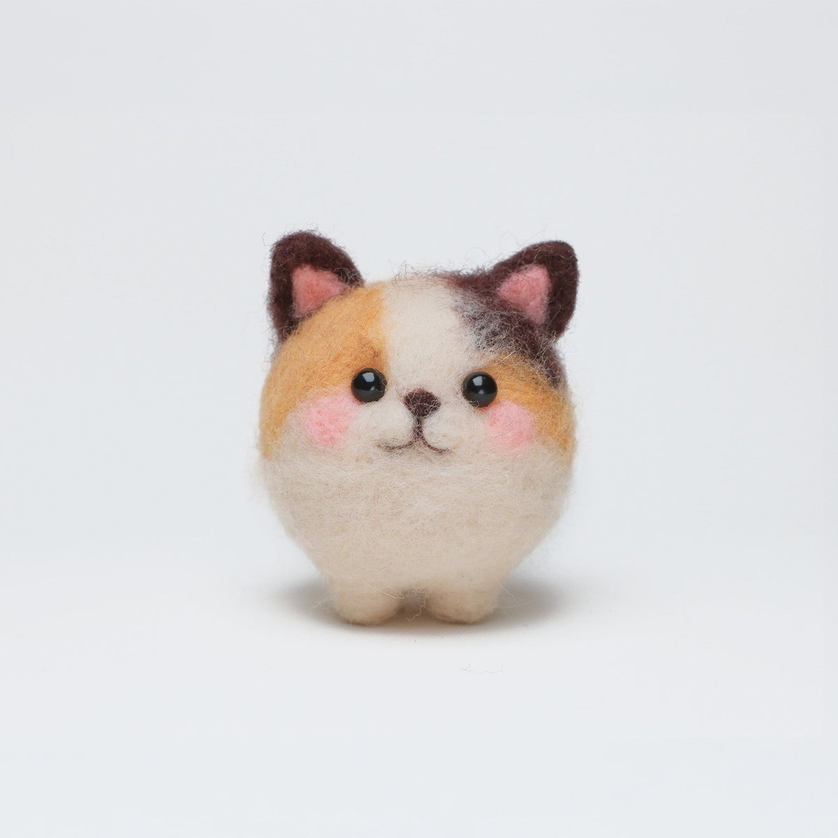 Taffy the Calico Cat